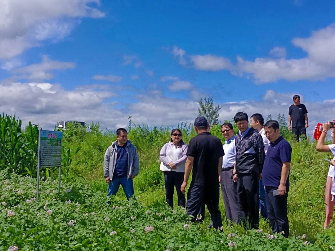 5.石瑛老师向当地农户介绍种植方案.JPG