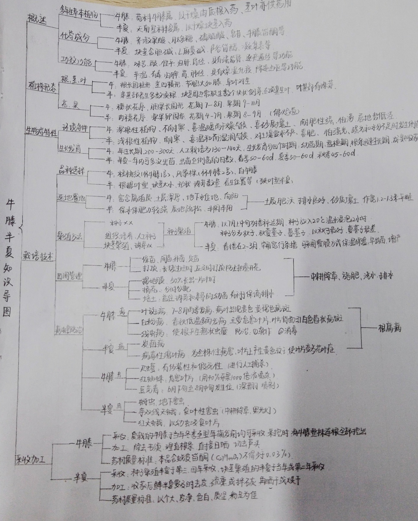 刘思瑶-硕农2304-S230302054.jpg